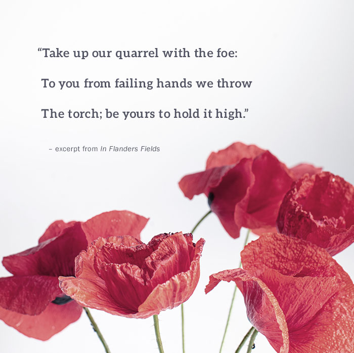 Excerpt from In Flanders Fields